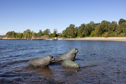 Familien fra havet